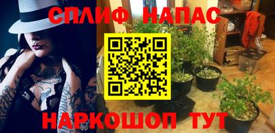 стафф Тара