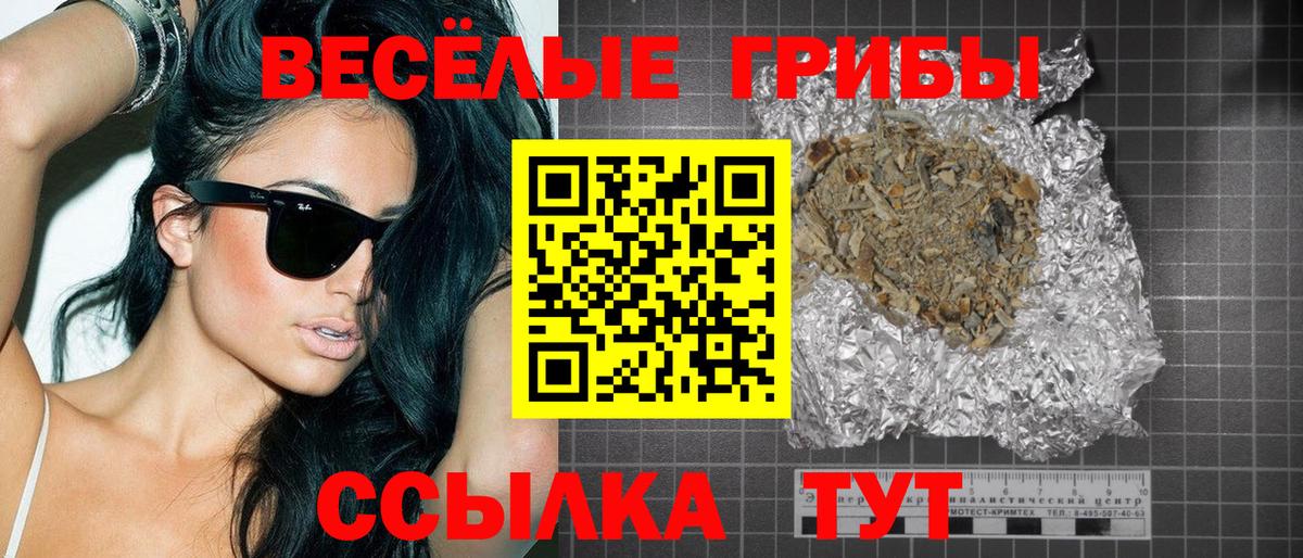 Новосибирск  Псилоцибиновые грибы мицелий  Вход с VPN 