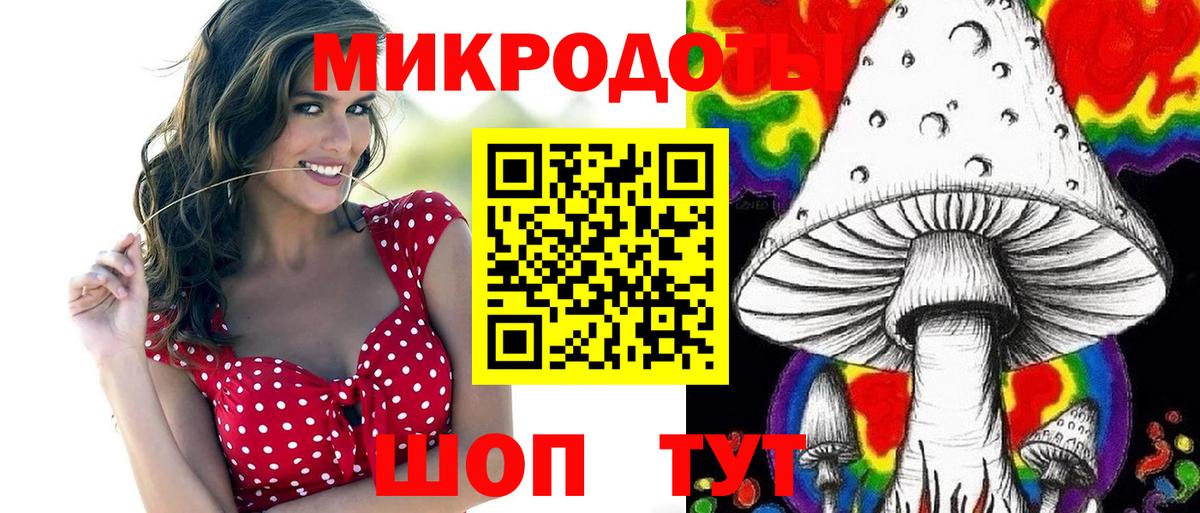 Галлюциногенные грибы Psilocybe Новосибирск