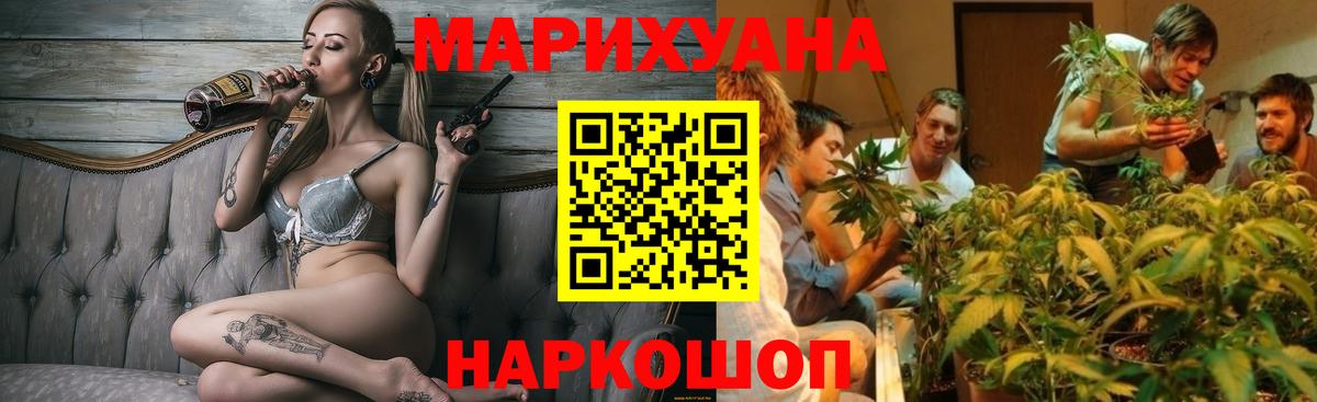 Бошки марихуана конопля  Вход с VPN  Новосибирск  Шишки марихуана White Widow  Марихуана AK-47 